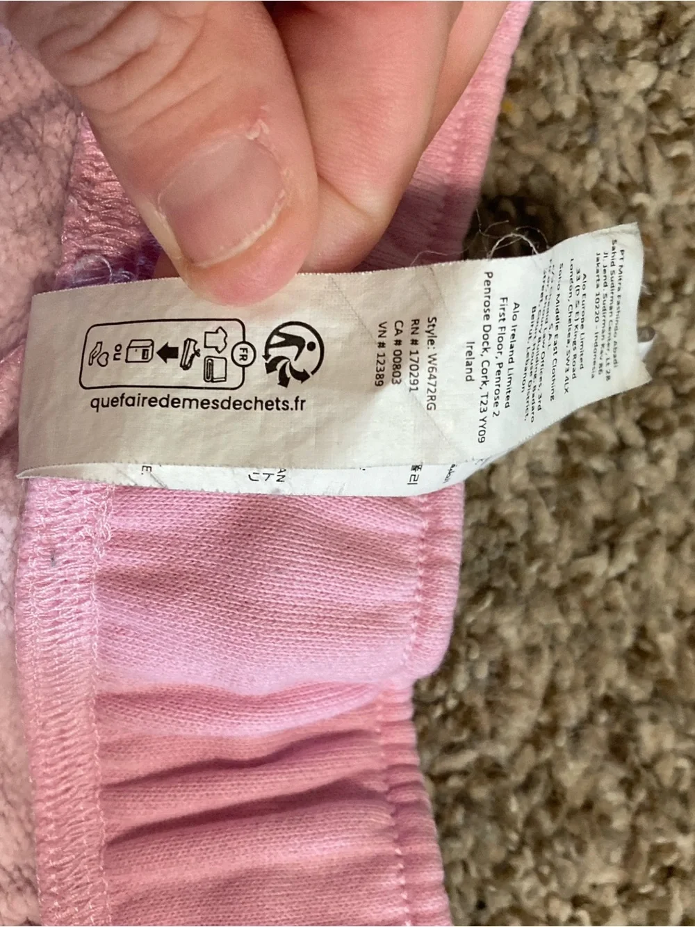 ALO Yoga Light Pink Fleece Lined Hoodie